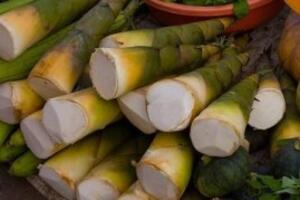 Những Loại Thực Phẩm Gây Hại Cho Gan