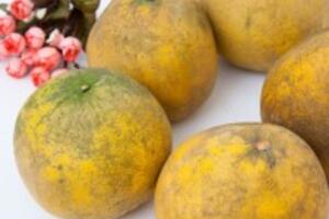 Phương pháp giảm cân bằng bưởi