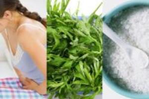 Bài thuốc chữa kinh nguyệt không đều bằng ngải cứu