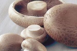 Những tác dụng tuyệt vời của nấmNấm là thực phẩm tự nhiên, cung cấp nhiều protein, lipid, đường và khoáng chất có lợi cho cơ thể. Đặc biệt, thực phẩm này rất tốt cho người già, phụ nữ và trẻ em.