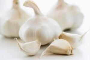 Chữa sùi mào gà bằng tỏi hiệu quả không?