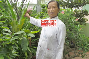 2 bài thuốc nổi tiếng chữa tiểu đường "100% không tái phát"