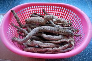 Hà thủ ô trắng bổ máu, gan thậnCủ hà thủ ô trắng vị đắng, tính mát, có tác dụng bổ máu, bổ gan thận, thanh nhiệt, giải độc, chữa sốt nóng, sốt rét, cảm sốt ra nhiều mồ hôi.