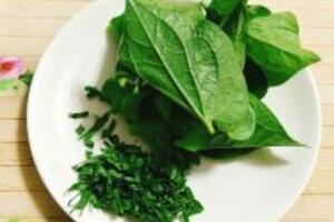 Cách chữa viêm xoang bằng lá lốt hiệu quả tại nhà