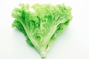 Phương pháp tắm trắng hiệu quả với rau diếp