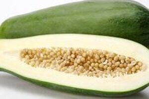 Các cách trị sỏi thận bằng đu đủ không bị tái phát