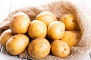 5 loại mặt nạ trị mụn an toàn từ nguyên liệu thiên nhiên