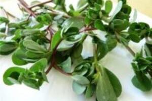 Mách bạn 7 bài thuốc dân gian điều trị tiêu chảy