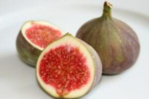 Cách chữa bệnh trĩ bằng quả sung không tốn chi phí phẫu thuật