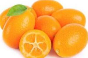 Nguyên nhân, triệu chứng và cách trị bệnh ho khan