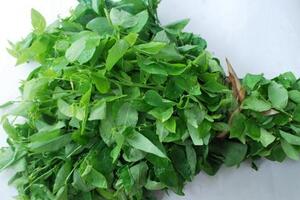 Rau ngót tạo hưng phấn tình dụcTheo trải nghiệm gần đây, ăn thường xuyên rau ngót (đã nấu chín) giúp cho cánh “mày râu’ cải thiện chất lượng tinh trùng...