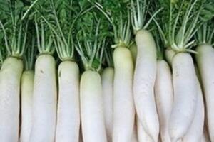 Tác dụng không ngờ của củ cải trắng