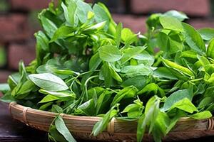 Rau ngót trị táo bón cực nhanh chóng