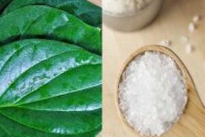 3 cách chữa bệnh tổ đỉa bằng lá trầu không