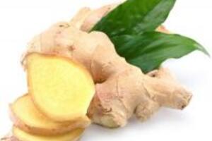 Cách ngâm rượu gừng giảm béo hiệu quả
