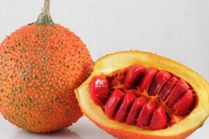 Những tác dụng tuyệt vời từ quả gấc