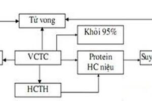 Nguyên nhân và triệu chứng của suy thận mạn tính