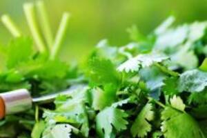 Cách giảm cân siêu nhanh chóng với nước rau mùi