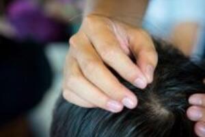 Nhổ tóc bạc sớm thật sự có tốt hay không?