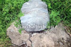 Kỳ lạ những hòn đá chữa bệnh trên khắp các vùng quê Việt Nam