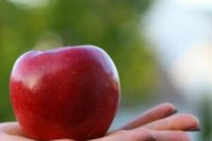Công dụng của trái táo vượt xa những gì chúng ta nghĩ