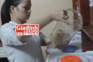 “Mổ xẻ” bài thuốc Nam giúp hàng trăm sản phụ dứt bệnh trĩ chỉ sau một tháng