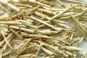 Tác dụng của rễ cây cỏ tranh