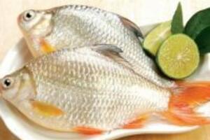 Món ăn bài thuốc từ cá diệc bạn biết chưa?