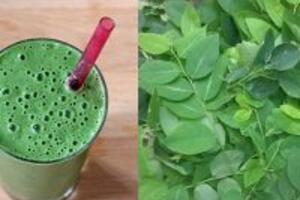 Các tác dụng và bài thuốc tuyệt vời được làm từ rau ngót