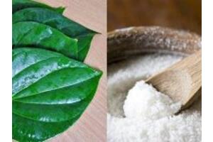 3 cách chữa bệnh tổ đỉa bằng lá trầu không hiệu quả tại nhà
