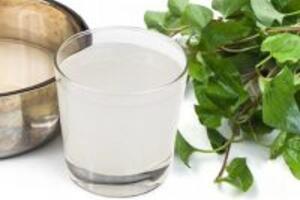 Cách trị ho bằng rau diếp cá đơn giản tại nhà