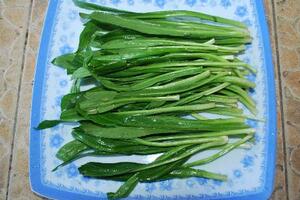 Rau ngò tàu chữa ăn khó tiêuTheo Đông y, rau mùi tàu có vị cay hơi đắng, thơm, tính ấm, có tác dụng sơ phong thanh nhiệt, kiệm tỳ...