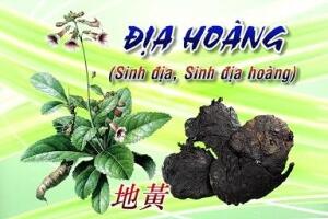Tự điều trị cao huyết áp