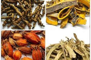 Đông y chữa bệnh ở hầu - họng