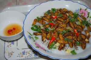 Nhộng tằm, vị thuốcTheo Đông y, nhộng tằm có vị mặn, ngọt, bùi, béo, tính bình, không độc, có tác dụng chữa được nhiều bệnh.