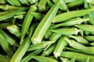 7 cách chữa viêm phụ khoa bằng dân gian