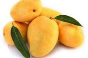 Những tác dụng tuyệt vời từ trái xoài