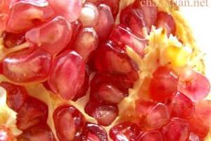 Lựu - “quả tiên” trong mắt người châu ÂuNgười châu Âu, đặc biệt là người Hi Lạp tôn sùng quả lựu như quả tiên...