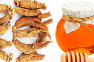 Hướng dẫn cách bảo quản hồng sâm Hàn Quốc đúng cách
