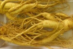 Cách Bảo Quản Sâm Tươi Trong Tủ Lạnh Được Lâu