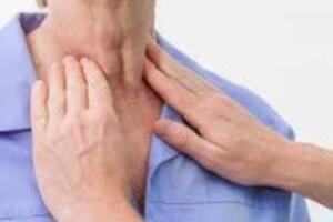Tìm hiểu cơ chế phòng chống ung thư hạch của nấm lim xanh