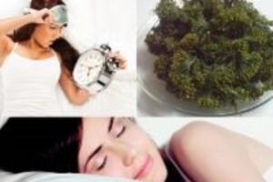 Điều trị mất ngủ hiệu quả và tận gốc nhờ hoa tam thất