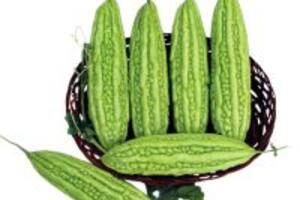 Khổ qua trị đái tháo đường