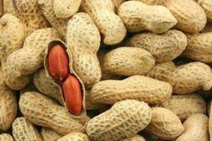 Công dụng tuyệt vời của củ lạcLạc là thực phẩm phổ biến khắp thế giới. Không chỉ bùi, ngậy và được chế biến thành nhiều món ăn hấp dẫn, lạc còn có nhiều công dụng tốt cho sức khỏe...