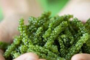 5 thực phẩm giúp bạn chống lại môi trường ngày càng ô nhiễm