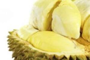 Những món ăn bài thuốc được làm từ sầu riêng