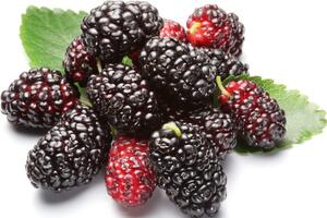 Thảo dược chữa cao huyết áp hiệu quả