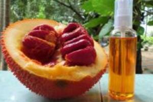 Nguyên liệu tự nhiên trị nám hiệu quả