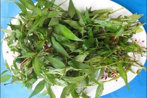 Thận trọng khi sử dụng rau rămNếu dùng rau răm thường xuyên, với lượng rau răm nhiều sẽ làm giảm tình dục, giảm ham muốn cả đàn ông lẫn đàn bà...