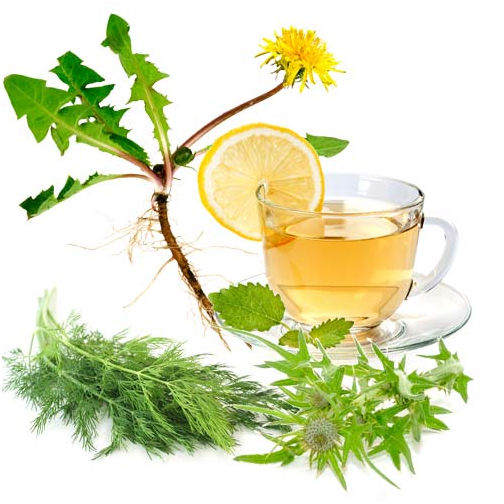 3 nhóm thực phẩm giúp cơ thể đào thải độc tố 2 3 nhóm thực phẩm giúp cơ thể đào thải độc tố 2